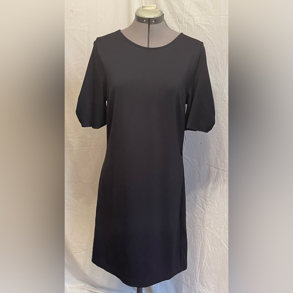 NWT.  Balloon sleeve sheath from Express